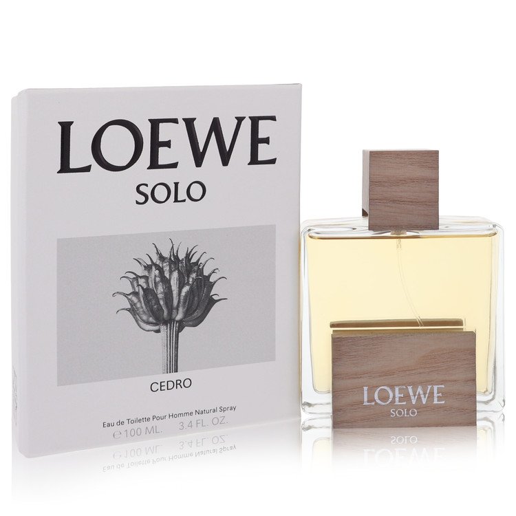 Loewe shop solo cedro